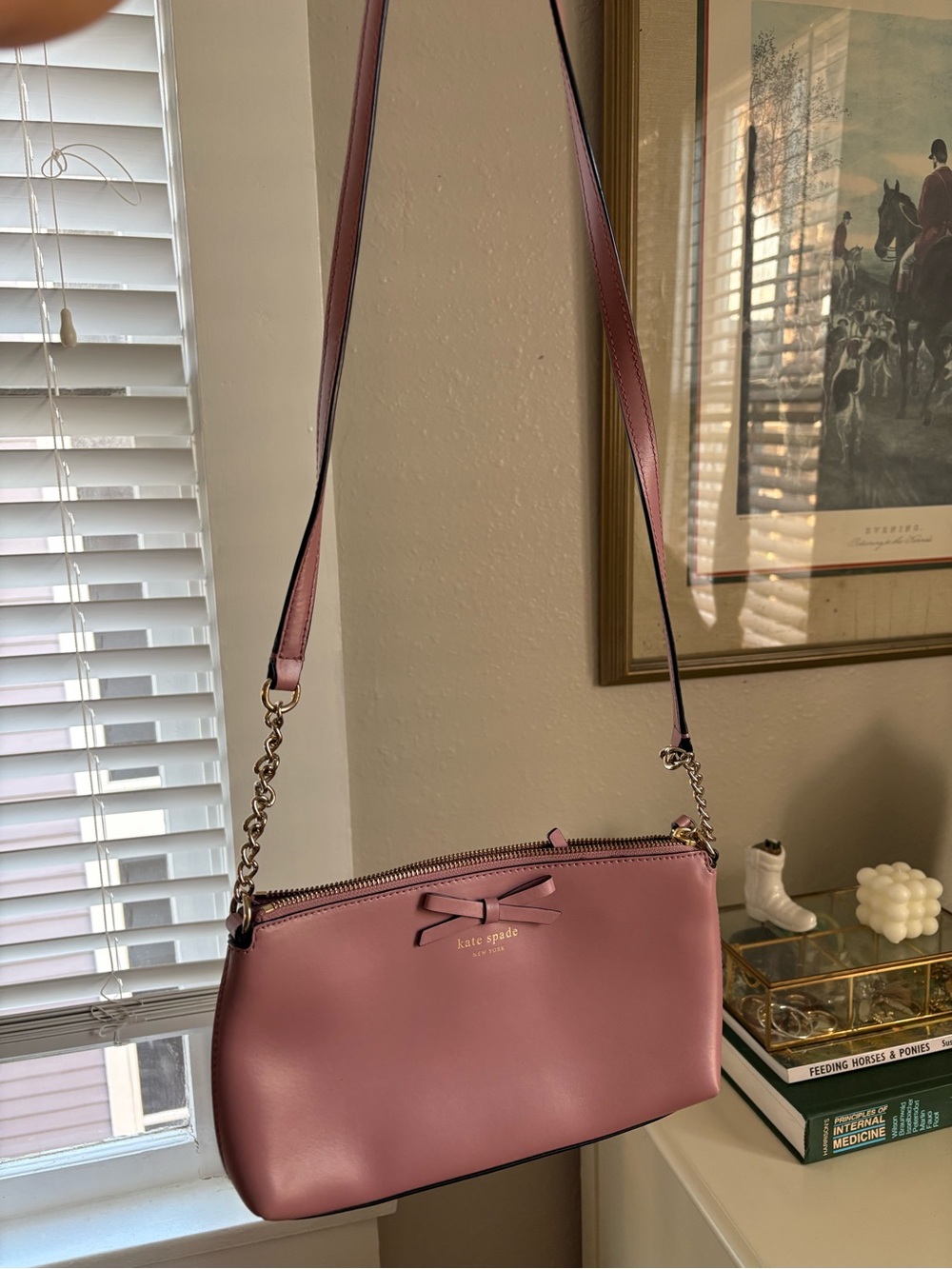 Kate Spade Pink Bow Crossbody Bag